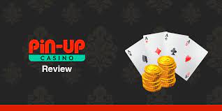 Pin-Up Gambling Enterprise Review